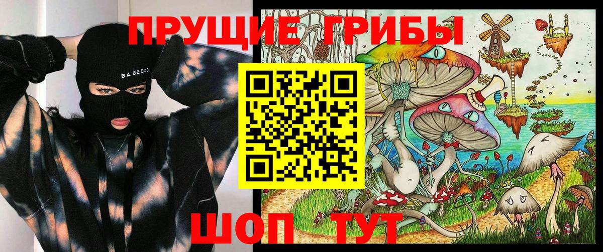 Лесной  Галлюциногенные грибы MAGIC MUSHROOMS  Вход с VPN 