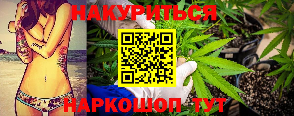 Канабис планчик Лесной
